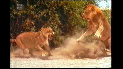 Globo Repórter: Sobreviventes da Costa do Esqueleto (completo) 1997