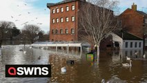 Huge areas of a city centre have been turned into lakes as rising water levels engulfed fields gardens, buildings and even a racecourse