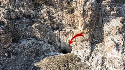 İçeri girenler gözlerine inanamadı, jandarma koruma altına aldı: Böylesini ilk defa gördük