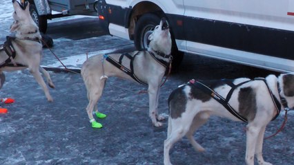 La Grande Odyssée VVF en 210 secondes