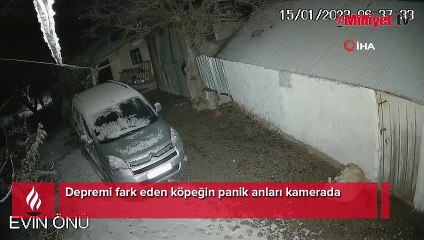 Depremi fark eden köpeğin panik anları kamerada