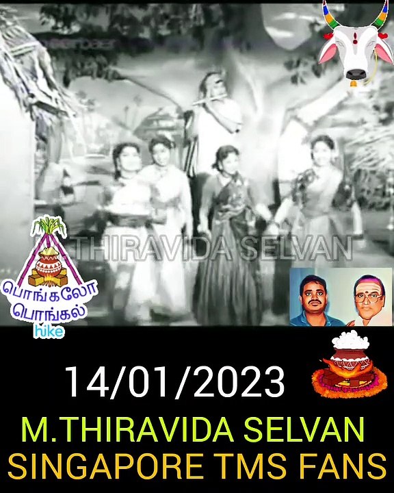 Happy Pongal 2023  SINGAPORE TMS FANS