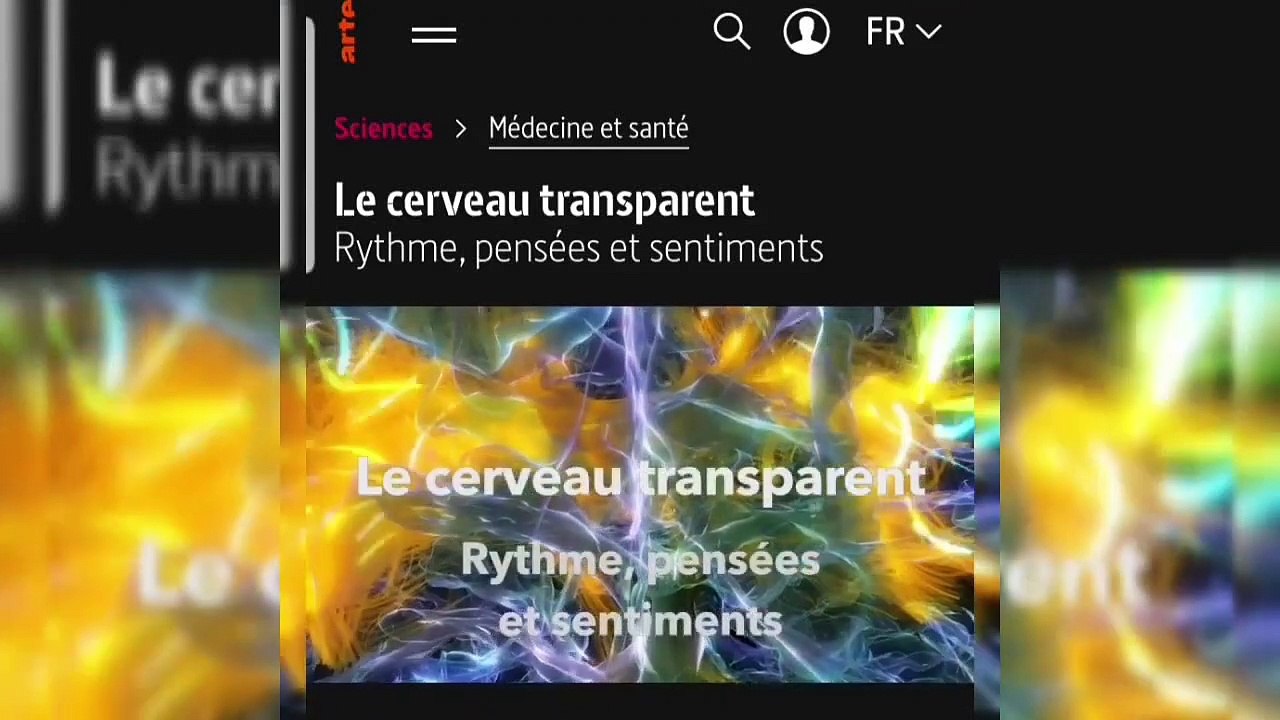 804 ATTENTION SYMPTÔMES DÉROUTANTS COMME BOUÉ DE SAUVETAGE QUI DÉVOILENT INCOMPÉTENCE DE VIVRE
