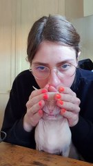 Saphira The Kitty Sneezes a Little Too Hard