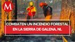 Protección Civil logra controlar en un 80% incendio en la Sierra de Galeana, Nuevo León
