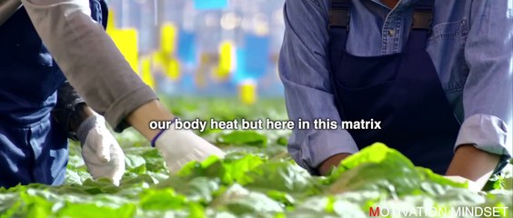 WORKING IS FOR LOSERS _ Andrew Tate's Speech That NO ONE Wants To Hear