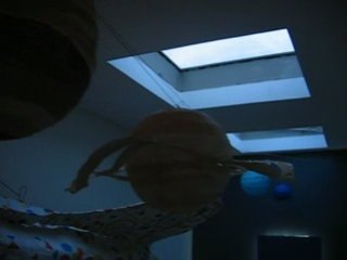 Système solaire et navette spatiale