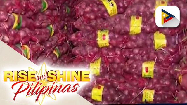 Sen. Imee Marcos, nais paimbestigahan ang kakulangan sa supply ng sibuyas at pagsipa ng presyo nito