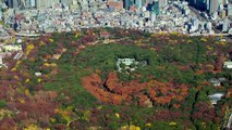 Japón, entre el cielo y la tierra 2/3 - La isla montañosa