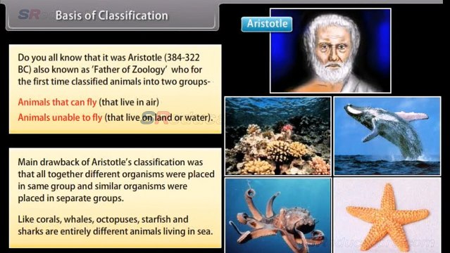 CLASS 9 BIOLOGY DIVERSITY IN LIVING ORGANISMS 1