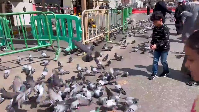 Mecca Visiting KAABA Sharif & LUNCH in Makkah Clock Tower _ ZAMZAM Tower, Masjid Al Haram
