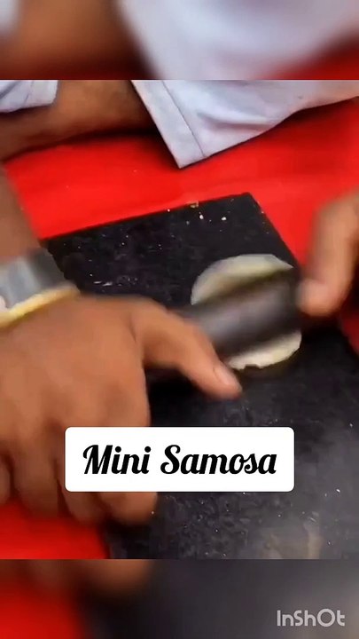 Mini Samosa