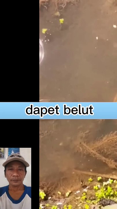 Dapet belut pakai tangan