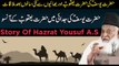 17.Hazrat Yousaf A.S Ka Qissa - Hazrat Yousaf A.S Meets With Hazrat Yaqoob A.S After Many Years