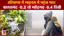 Haryana Weather Update News:हरियाणा में माइनस में पहुंचा पारा,बालसमंद -0.2 तो महेंद्रगढ़ -0.4 डिग्री