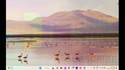 How to Always Show Scrollbars in Windows 11?