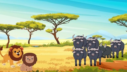 Lucky! Buffalo Trying Escape Attack by Lion and What Happen Next - Animal Fight   ATP Earth