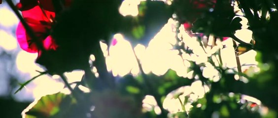 Brother - Award Winning Short Film from Sean Treacy