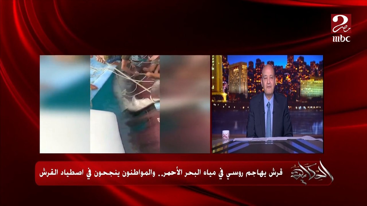 عمرو أديب: أهم حاجة موضوع القرش ما يتكررش .. ولحظات ظهور القرش في المياه والناس بيقولوا لبعض تطلع مرعبة