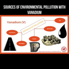 Sources of environmental pollution with vanadium