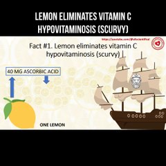 Lemon eliminates vitamin C hypovitaminosis (scurvy)