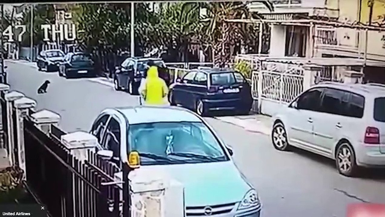 Heldenhafte Tieren, Die Gefilmt Wurden! (3)