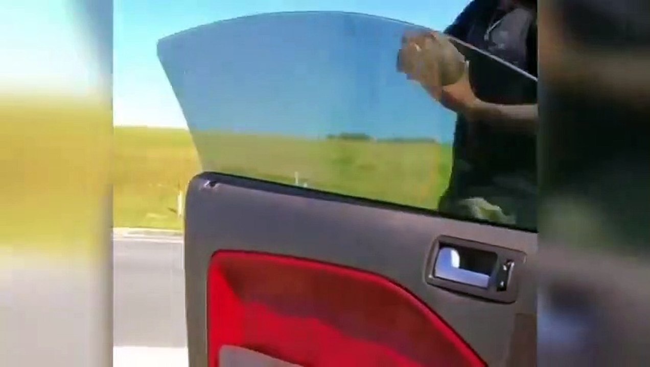 Unglaubliche Momente mit der Kamera festgehalten! (3)