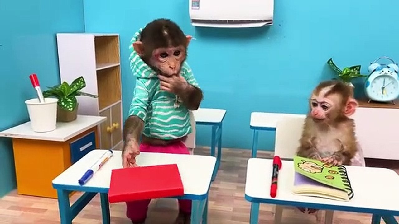 Monkey_Baby_Bu_Bu_Bon_Bon_go_to_school_by_bus_with_baby_monkey_kiki_Socute(360p)