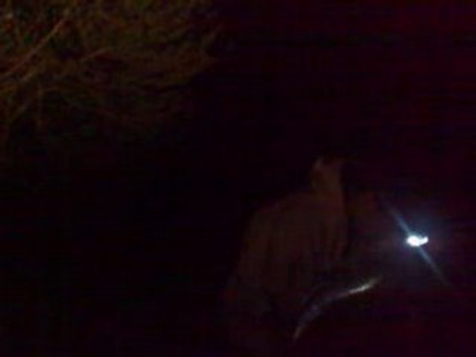 CARP COMMUNE 19KG DU RHONE