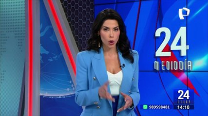 Día de la Bandera será laborable: Ejecutivo observa ley que declaraba feriado el 7 de junio