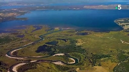 Cette vidéo de truite est bien trop épique - ZAPPING SAUVAGE