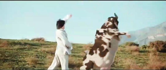Man vs cow Kung fu