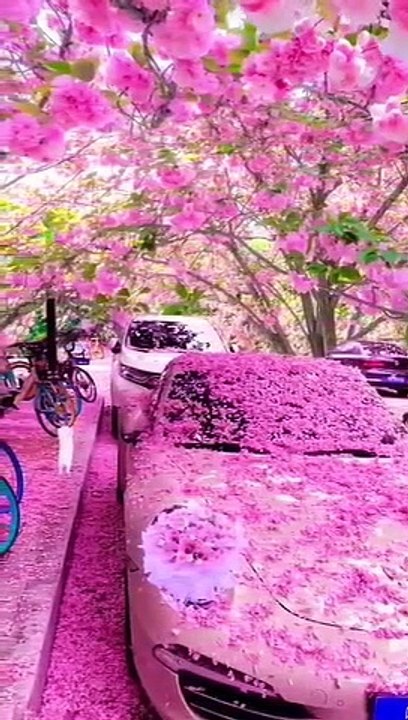 VID-20230604-WA0010
