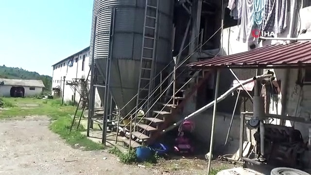 Ils ne peuvent pas répondre aux exigences de l'élevage de dindes