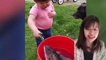 Baby Surprised Because Fish Can Talk Like Humans