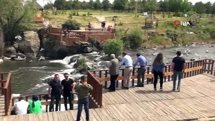 Martıların balık avı görsel şölen sunuyor