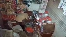 चोरी की वारदात: CCTV कैमरा में कैद हुआ चोर,देखें Live Video