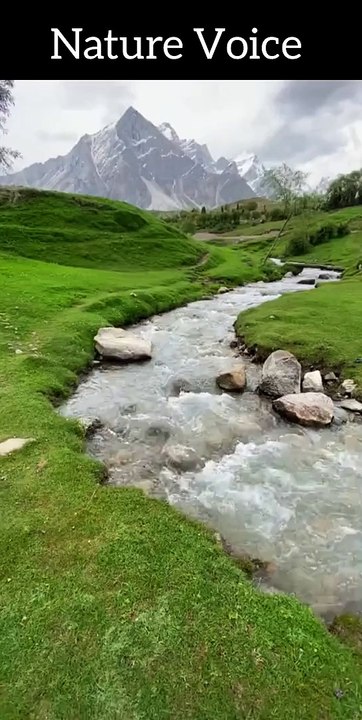 Nature Voice