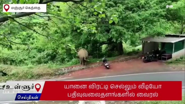 நீலகிரி: வாகனத்தை விரட்டிய காட்டு யானை-வைரல் வீடியோ!