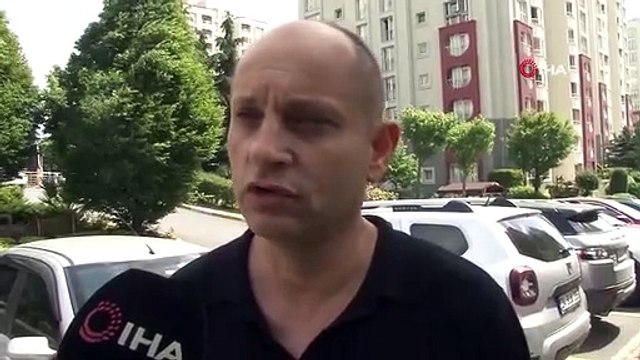 Başakşehir'de site yönetiminin kedileri toplayarak boş araziye attığı iddiası tepkiye neden oldu