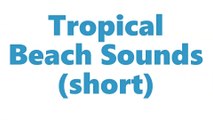 Tropical Beach Sound Effects | Ocean Ambience on a Tropical Beach