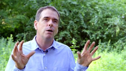 The Food Forest Movement is Spreading Across Europe!