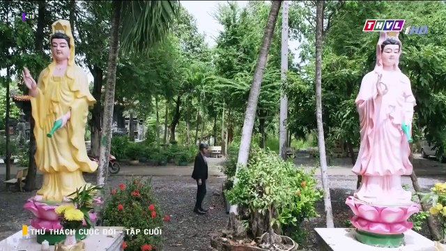 thử thách cuộc đời tập 51 - tập cuối - phim Việt Nam THVL1 - xem phim thu thach cuoc doi tap 51 - tap cuoi