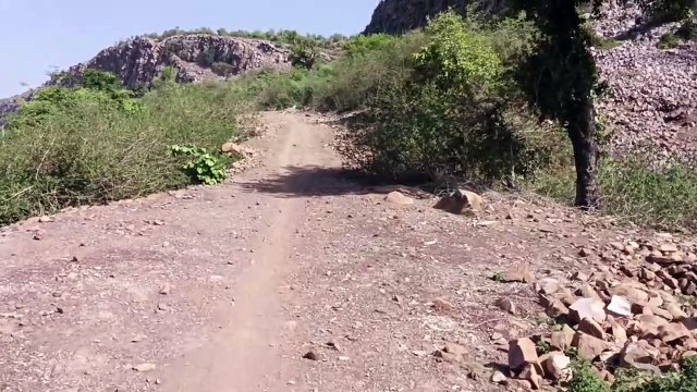 Road built on forest land without permission in Jhalawar