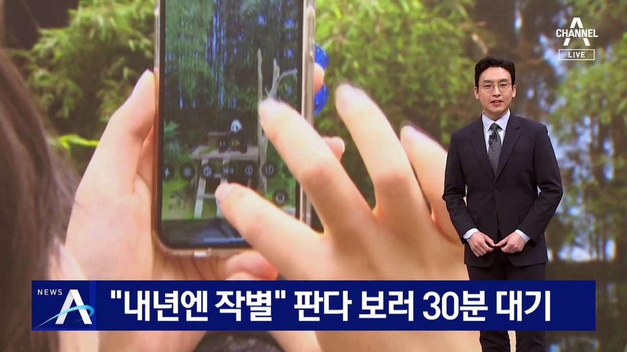 “푸바오 내년엔 작별”…판다 보러 30분 대기줄