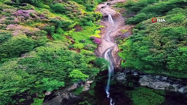 Paşaca Şelalesi kartpostallık görüntüleriyle ziyaretçilerini büyülüyor