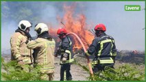Interventions des pompiers à Vresse-sur-Semois