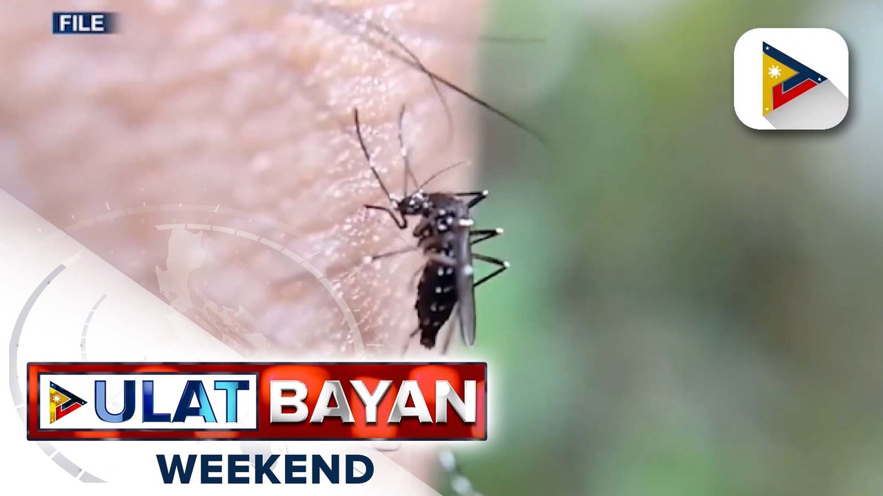 QC LGU, pinag-iingat ang publiko laban sa dengue ngayong tag-ulan