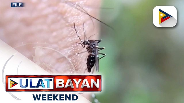 QC LGU, pinag-iingat ang publiko laban sa dengue ngayong tag-ulan