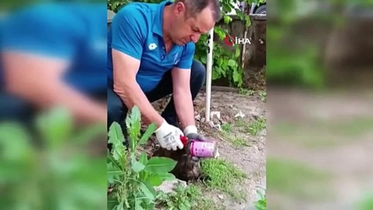 Kafası konserve kutusuna sıkışan kedi kurtarıldı